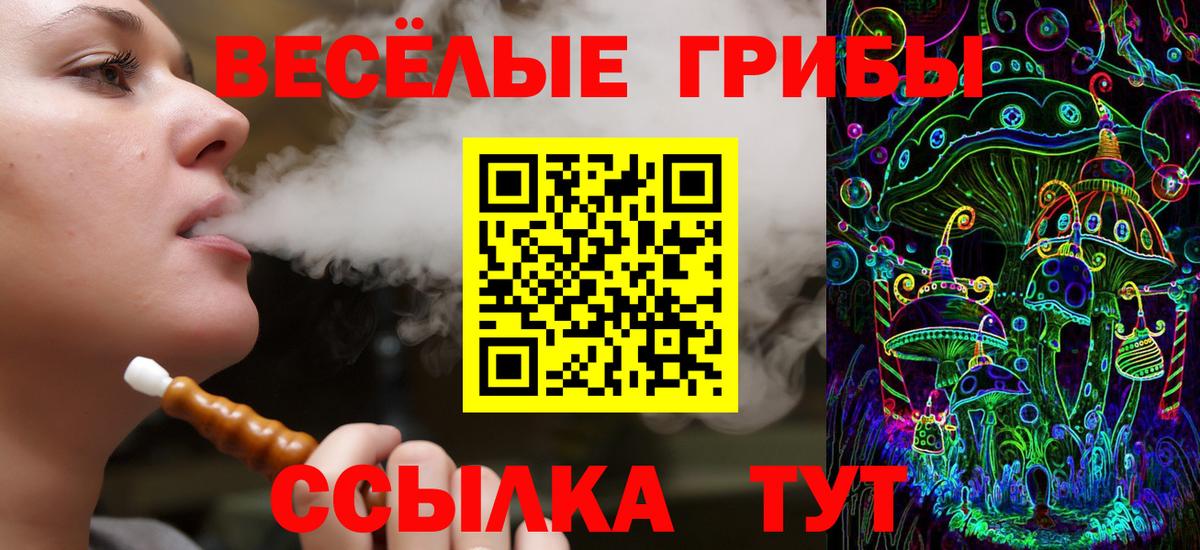 продажа наркотиков  Вход с VPN  Галлюциногенные грибы мицелий  Калининград  Галлюциногенные грибы Cubensis 