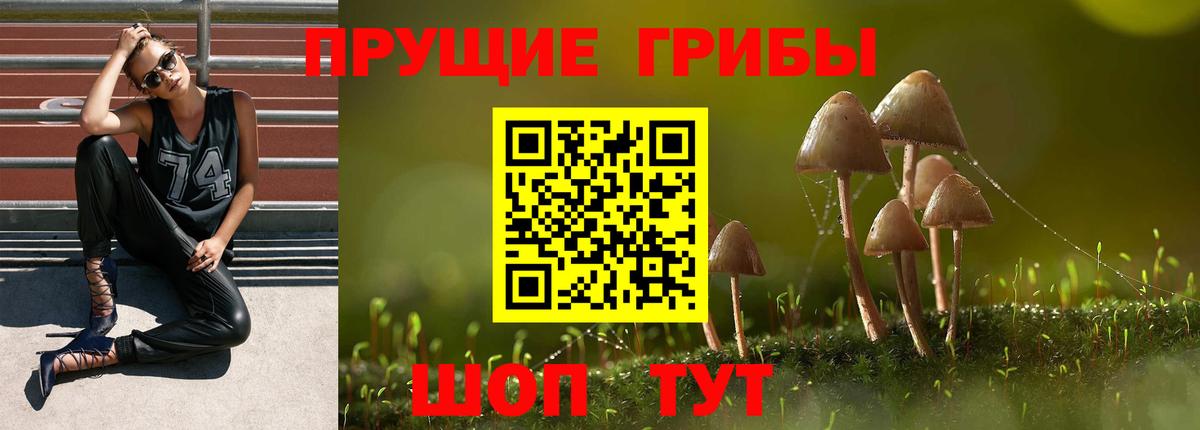 Псилоцибиновые грибы мухоморы Калининград